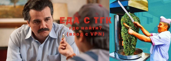 индика Горняк