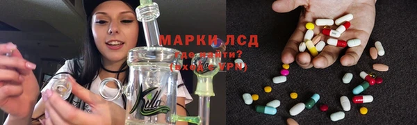 герыч Вяземский
