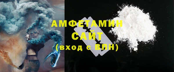 индика Горняк