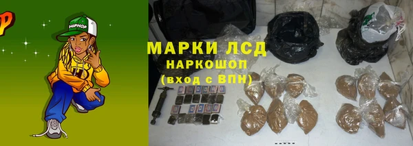PSILOCYBIN Горнозаводск