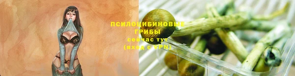 прущая мука Вязьма