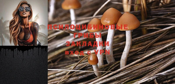 индика Горняк