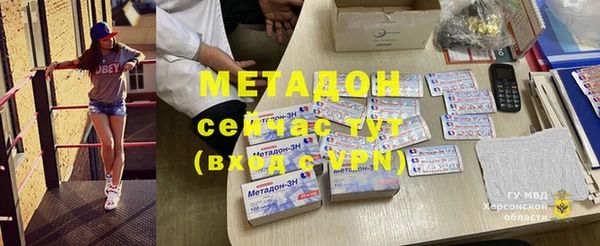 индика Горняк