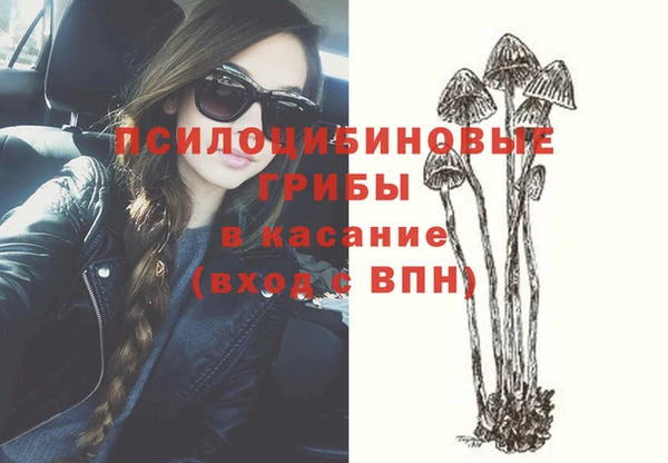 прущая мука Вязники