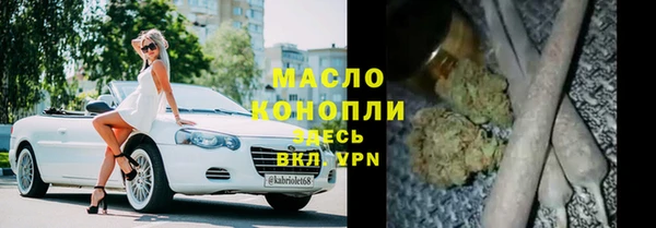 индика Горняк
