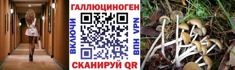 Псилоцибиновые грибы MAGIC MUSHROOMS Зарайск